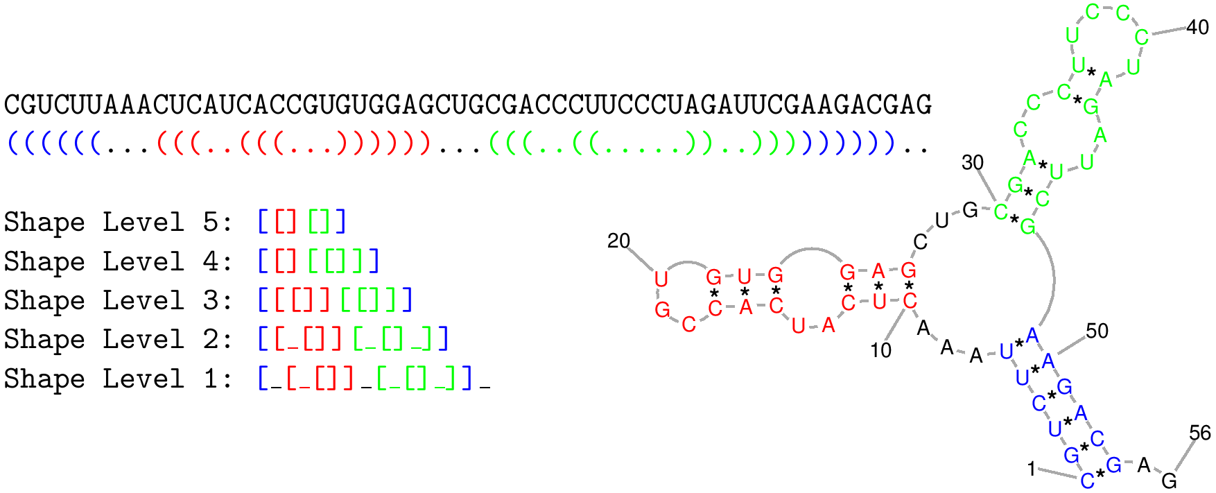 Illustration of one RNA shape and the levels of abstract representation.