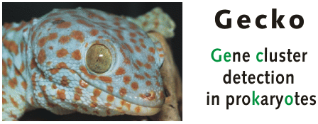 Gecko logo