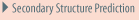 Secondary Structure Prediction