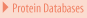 Protein Databases