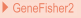 GeneFisher 2